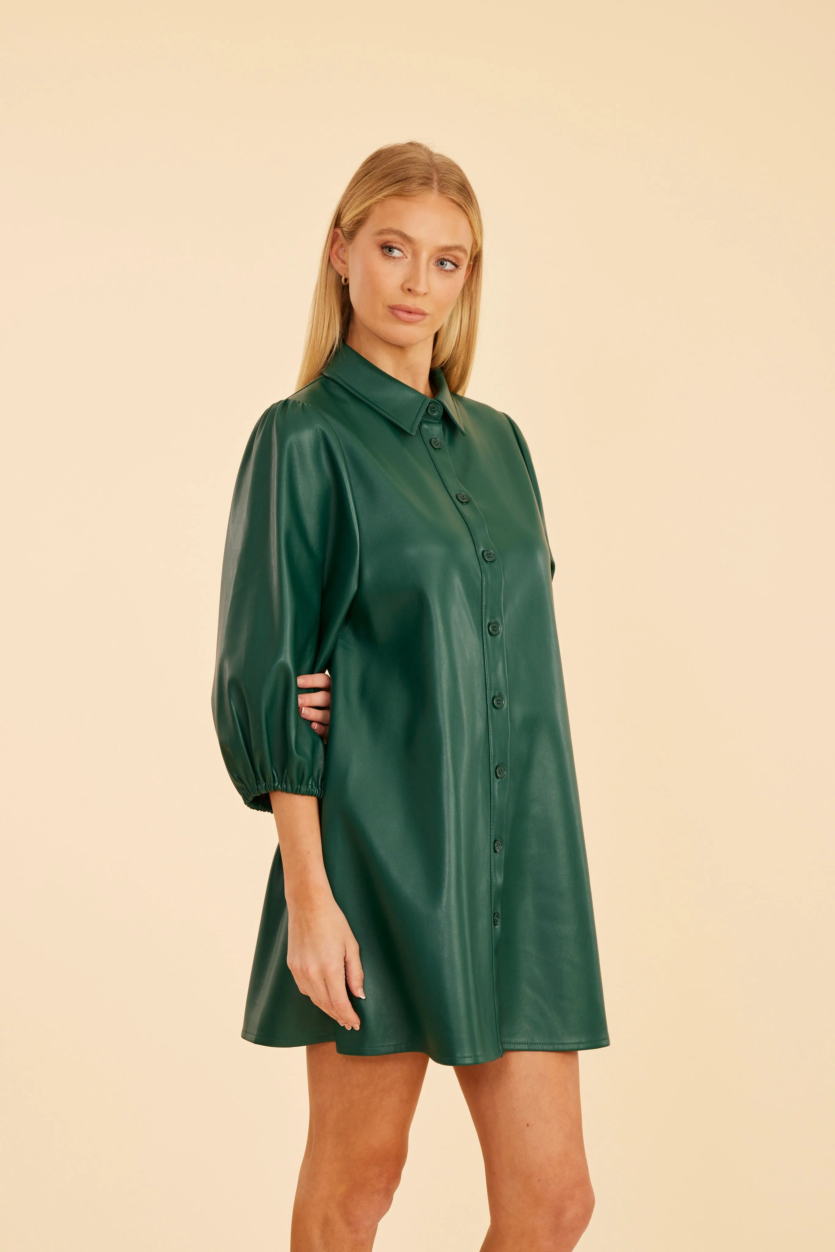 Faux Leather Puff Sleeve Dress