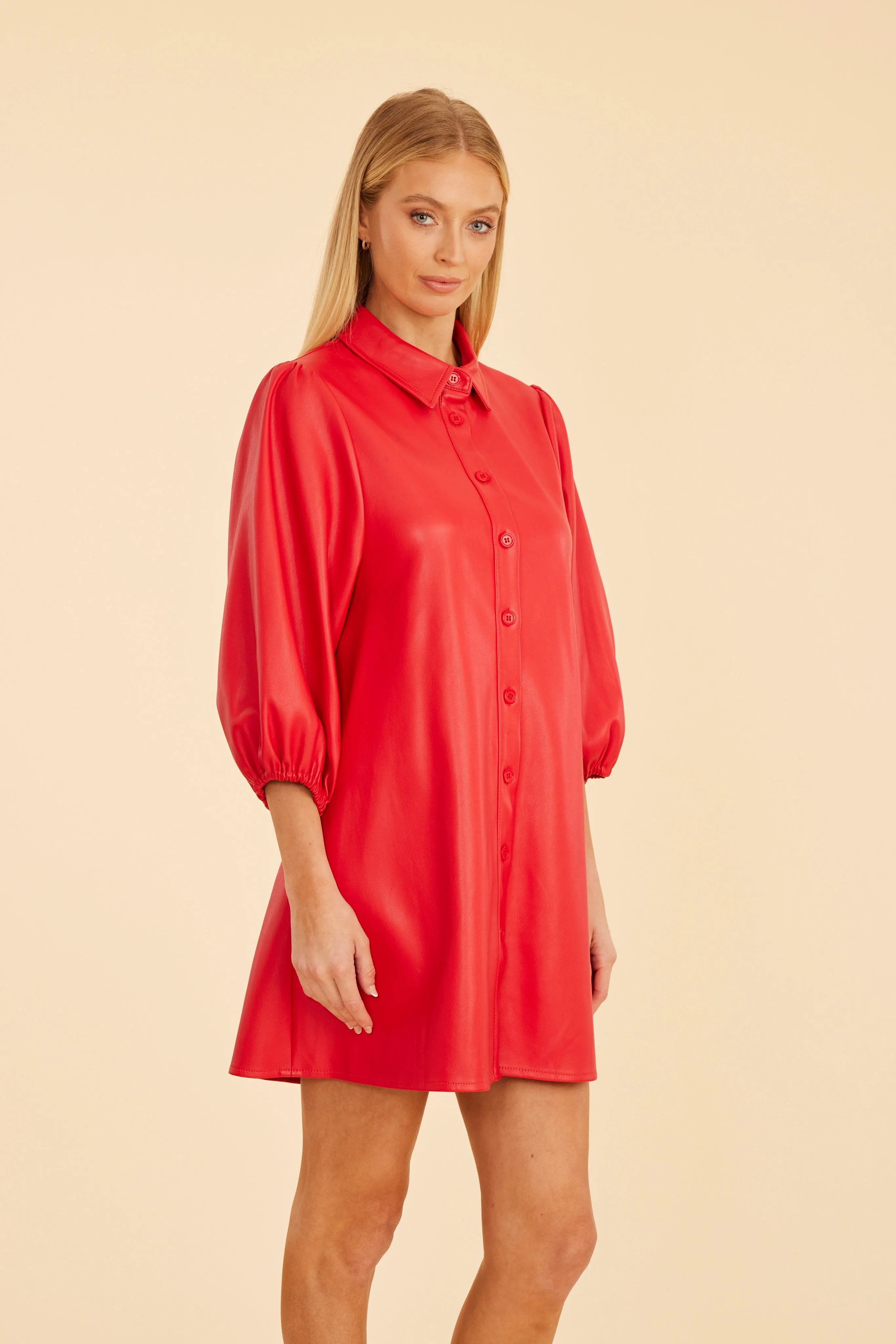 Faux Leather Puff Sleeve Dress