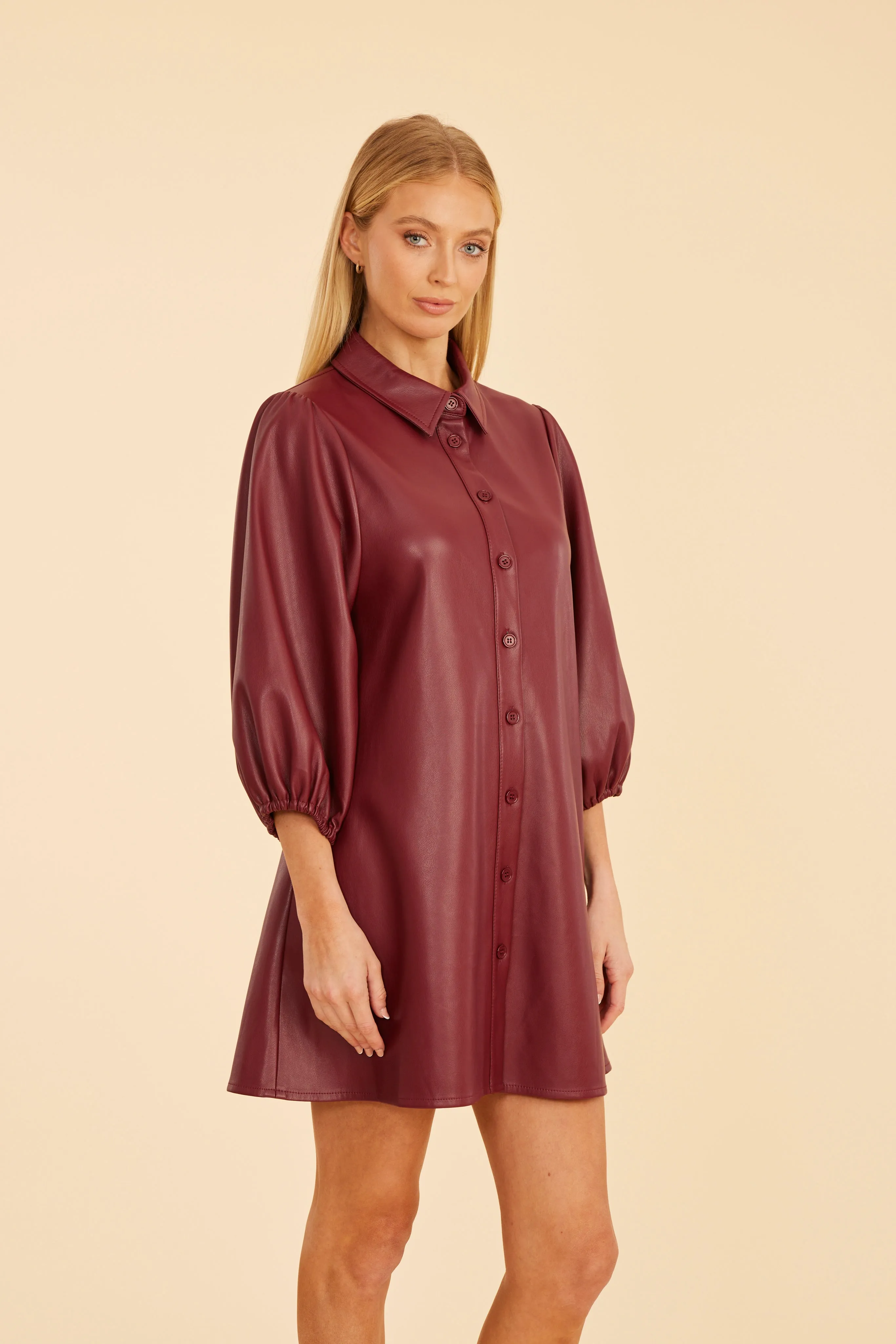 Faux Leather Puff Sleeve Dress